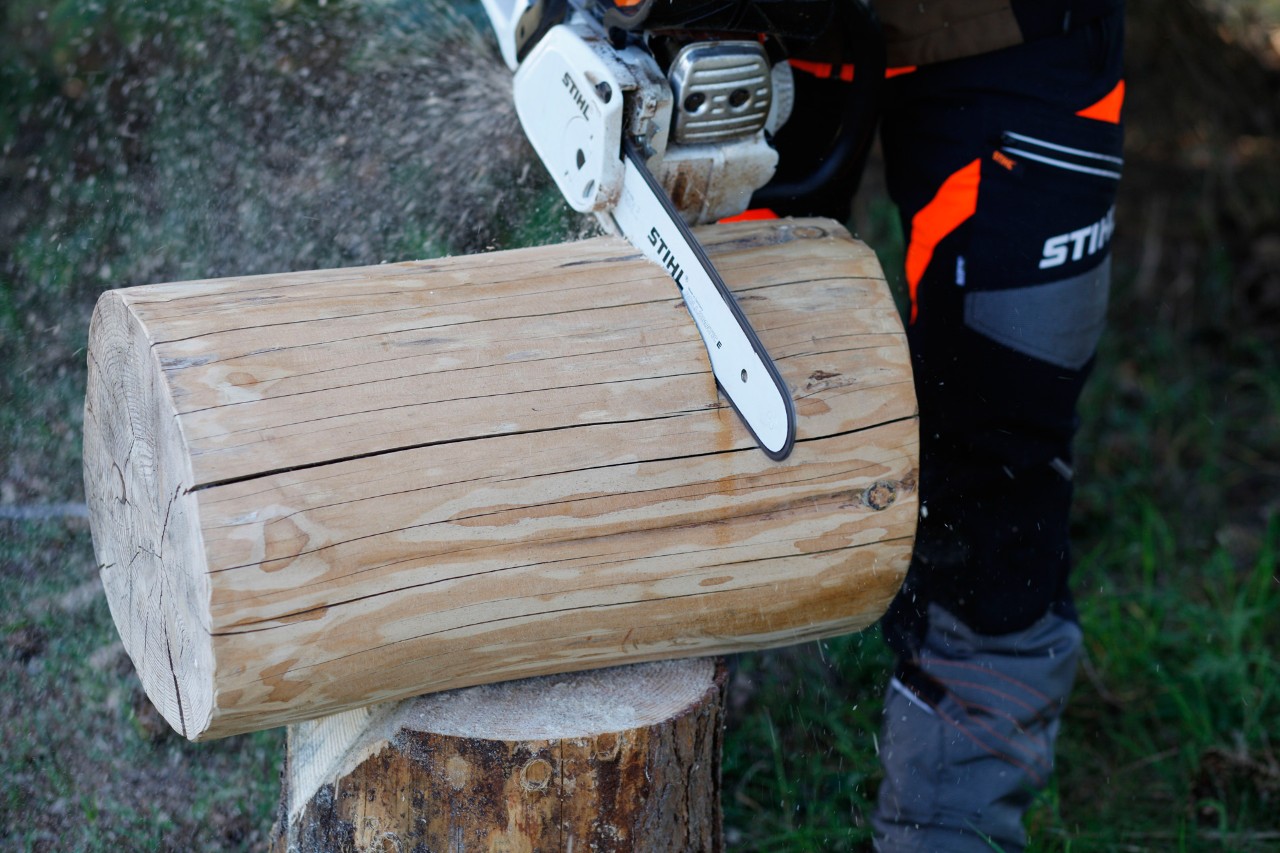 DIY-kruk van een boomstam: een stam wordt op lengte gezaagd met een STIHL MS 231 C benzinekettingzaag