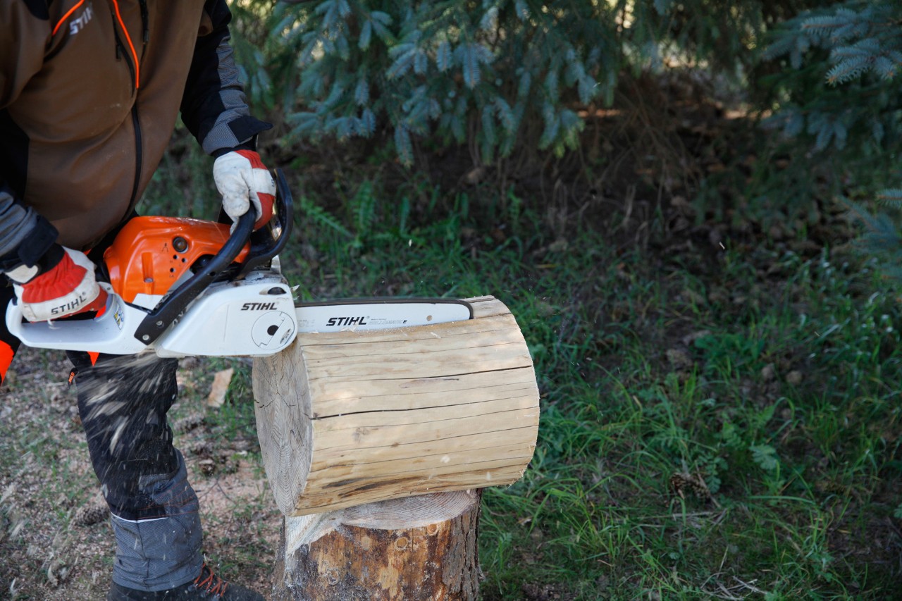 DIY-kruk van een boomstam: een stam wordt in de lengte gezaagd met een STIHL MS 231 C benzinekettingzaag