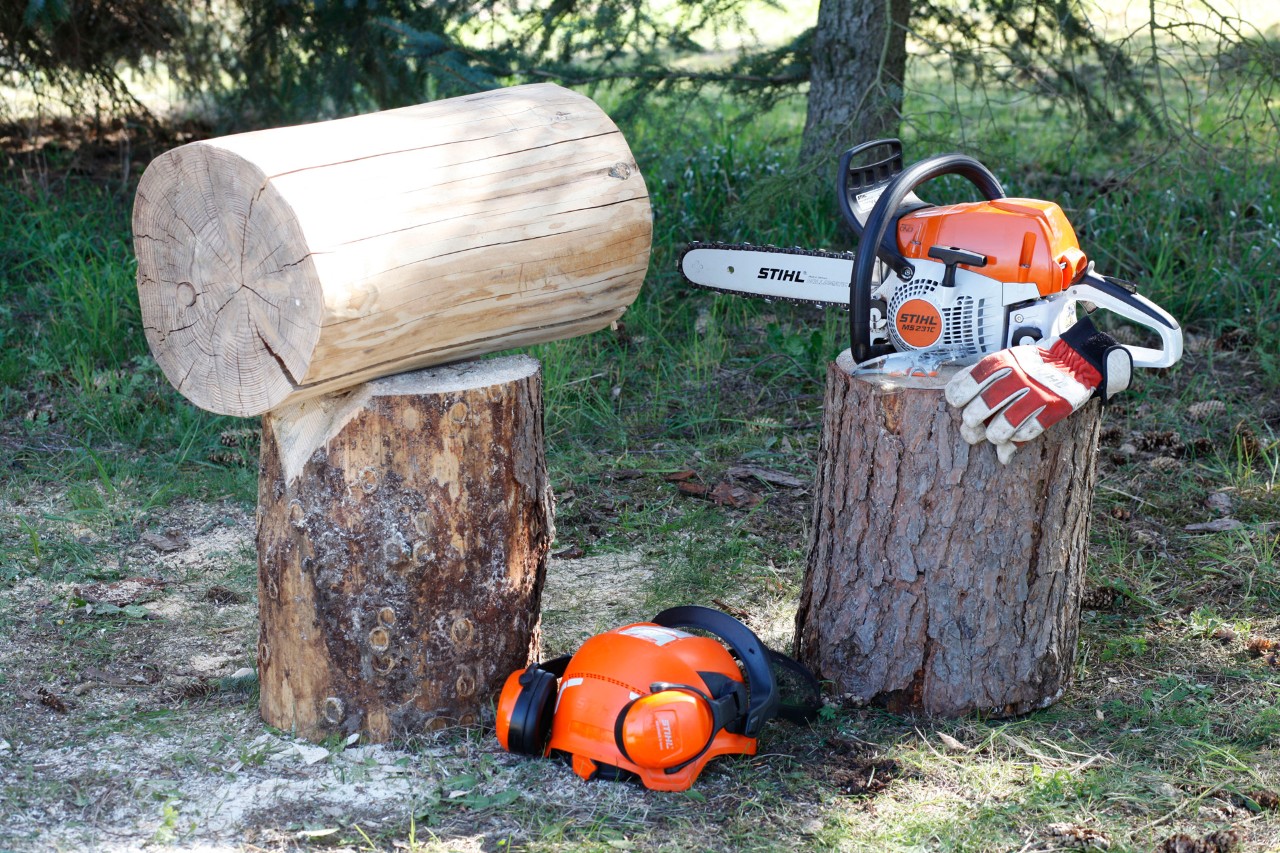Een boomstam, STIHL MS 231 C benzinekettingzaag, handschoenen, helm en gehoorbeschermingsset uitgestald op boomstronken