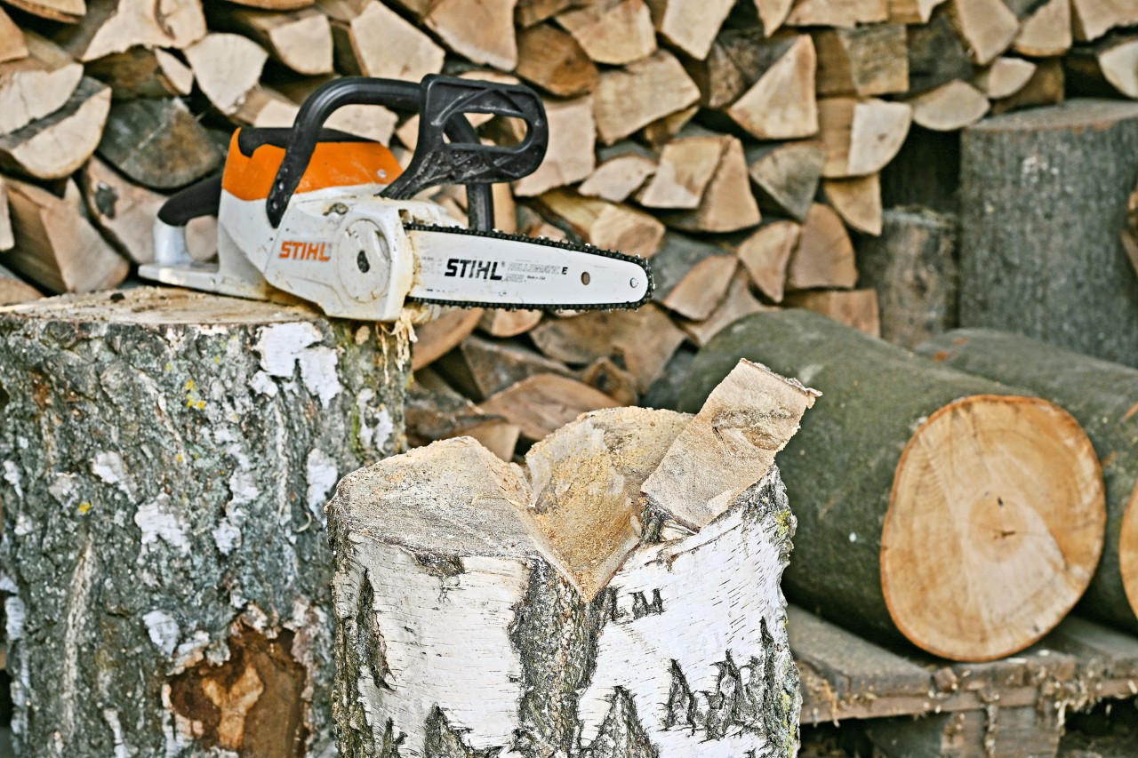 Een boomstronk met een inkeping en een STIHL MSA 140 C accukettingzaag op een boomstam erachter