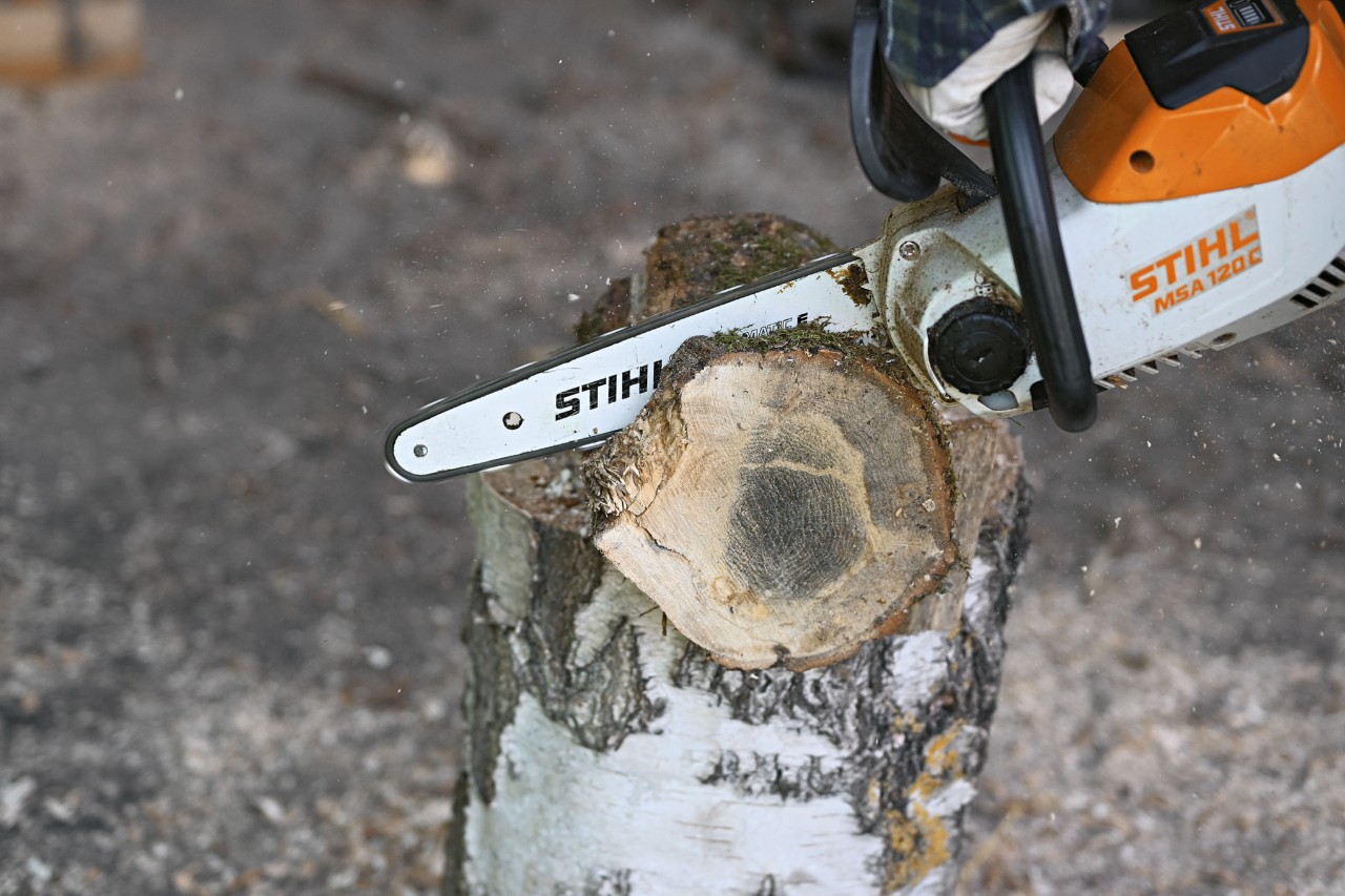 Close-up van hoe de STIHL MSA 120 accukettingzaag een segment van de boom op maat zaagt