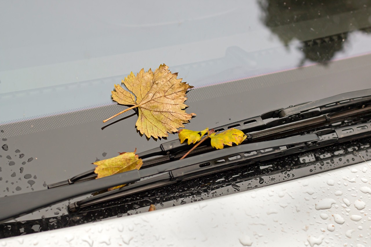 Close-up van gele bladeren op de voorruit en ruitenwissers van een auto