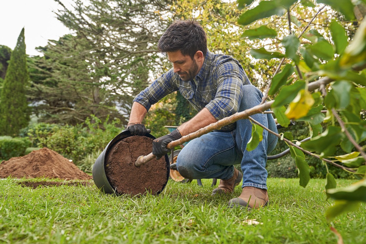 Een man met STIHL veiligheidshandschoenen houdt een te planten boom in een pot vast en maakt de kluit los