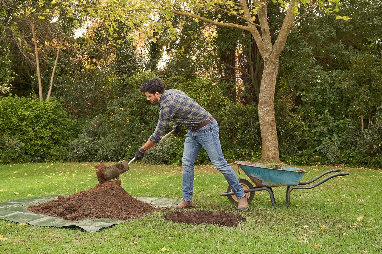 Een man met STIHL veiligheidshandschoenen graaft met de spade een plantgat uit om daarin een boom te planten