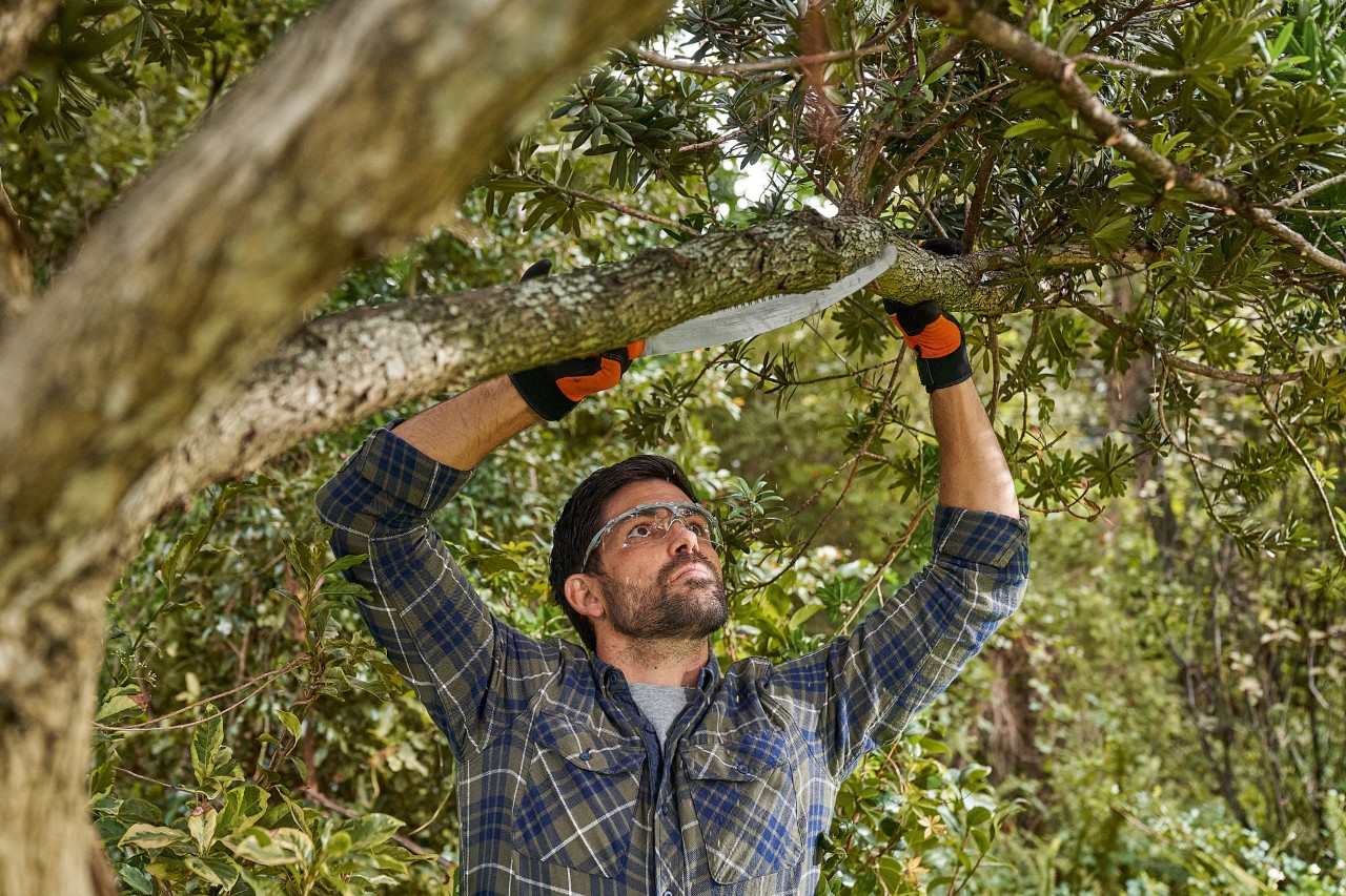 Een man met STIHL veiligheidshandschoenen en een veiligheidsbril zaagt een tak van onderaf tot het midden van de tak in