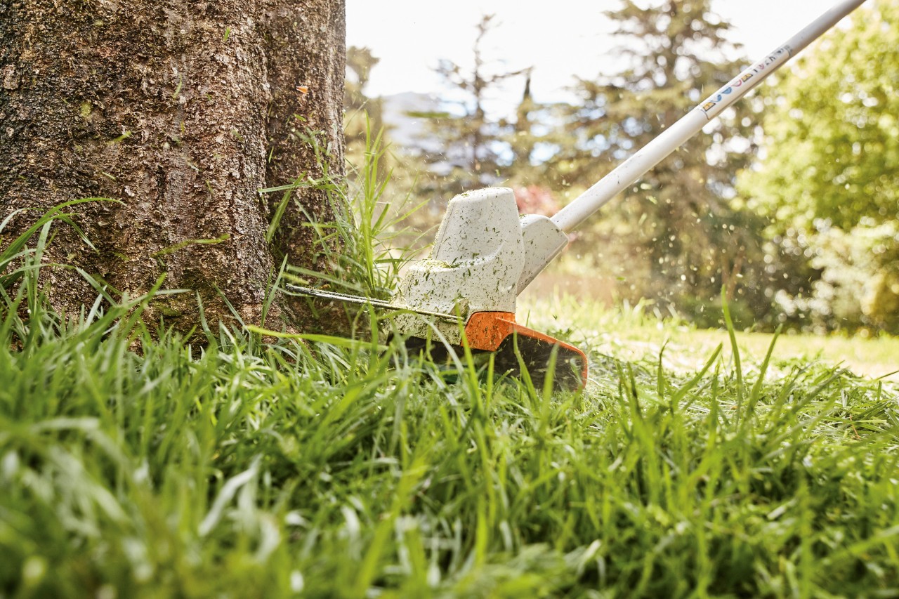 Gazonranden rondom een boom snoeien met de STIHL accubosmaaier FS 57