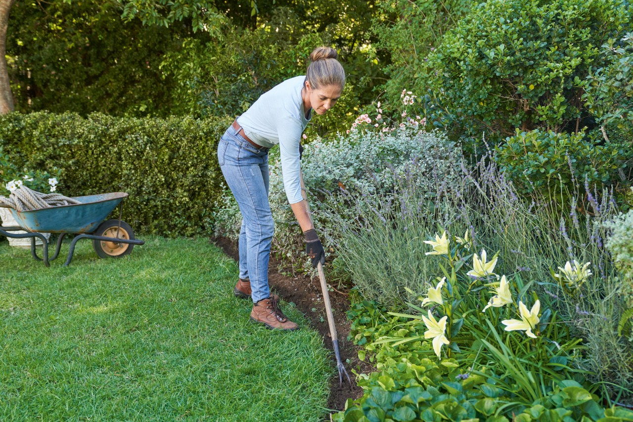 Vrouw met STIHL veiligheidshandschoenen maakt de bodem van de Engelse gazonrand tussen grasveld en perk met hark los 