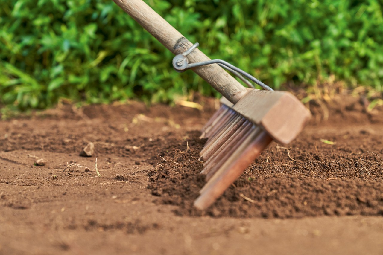 Iemand egaliseert de grond met een houten riek om later een gazon aan te leggen