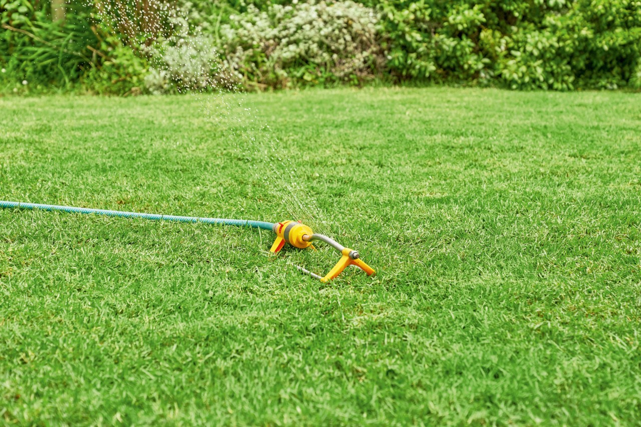 Gazonsproeier besproeit een gazon in de zomer