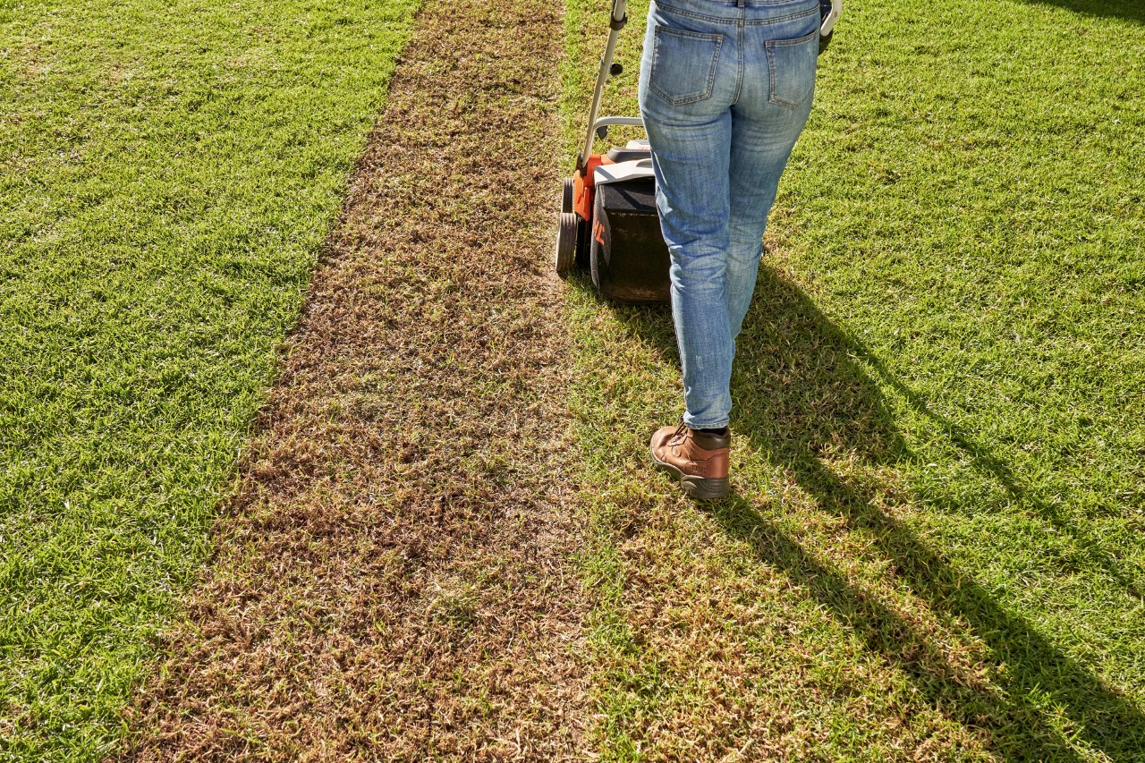 Vrouw verticuteert het gazon met de STIHL RLA 240 accuverticuteermachine