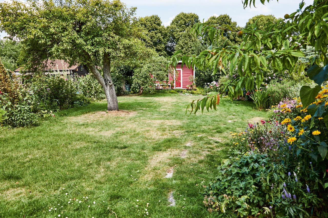 Groot terrein met groen gazon, bomen, bloemen en een rood tuinhuis