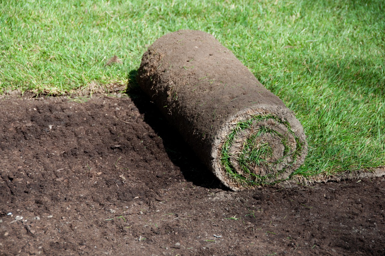 Een gedeeltelijk aangelegd gazon, met een half afgerold stuk gras in het midden