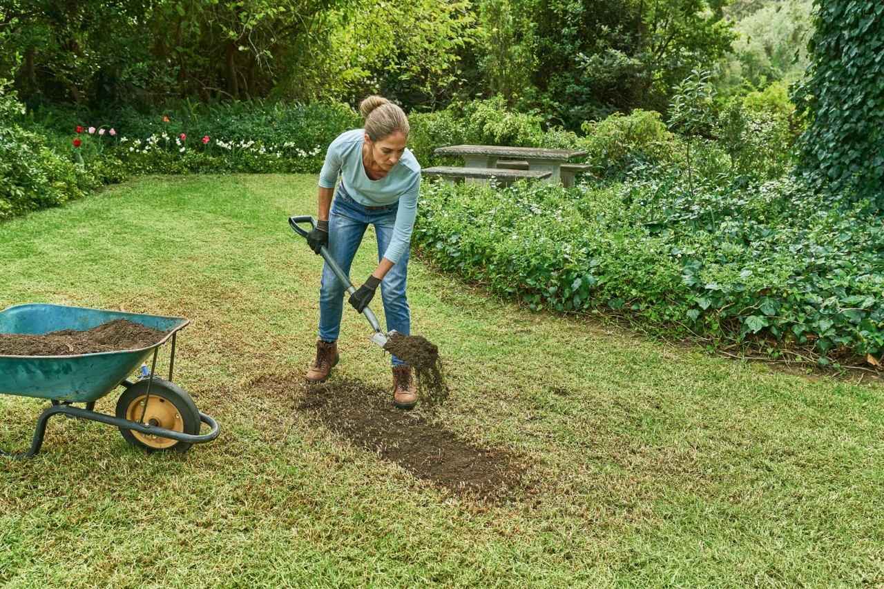 Een vrouw die compost met een schop van een kruiwagen over een gazon strooit