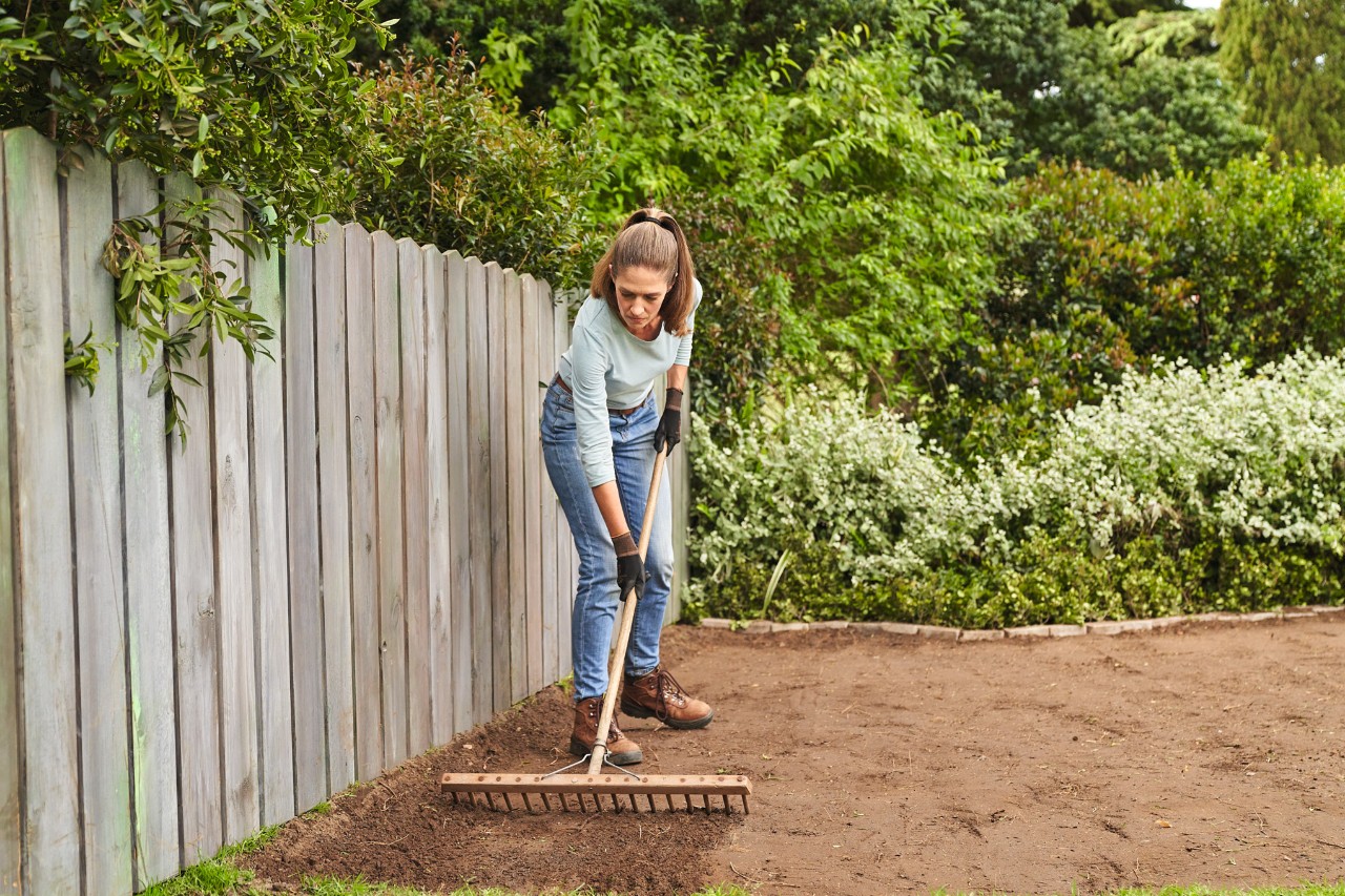 Om een grasmat te leggen, ruwt een vrouw met een houten hark een oppervlak op 