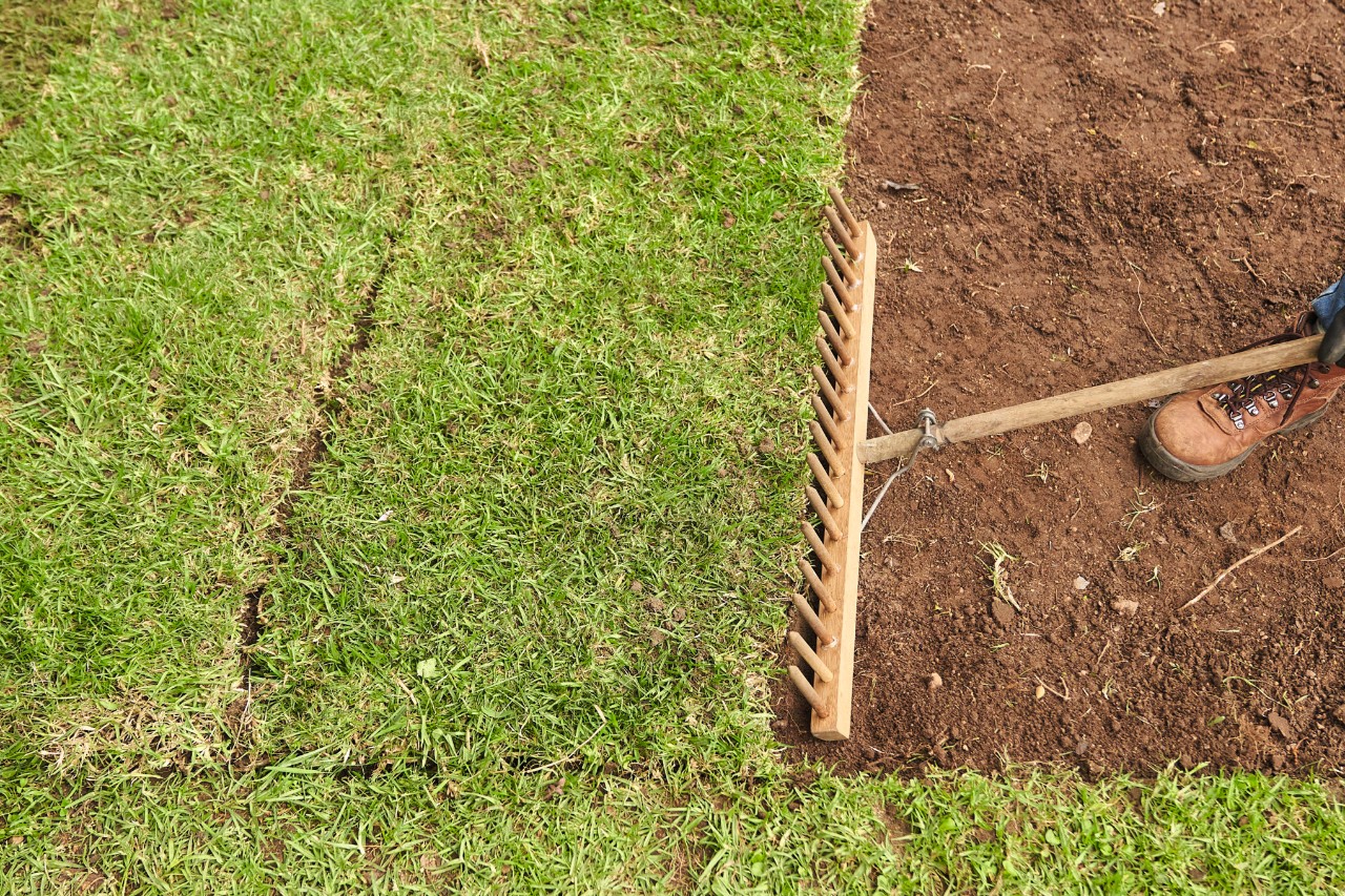 Voegen tussen stroken van het rolgazon worden met een houten hark gesloten 