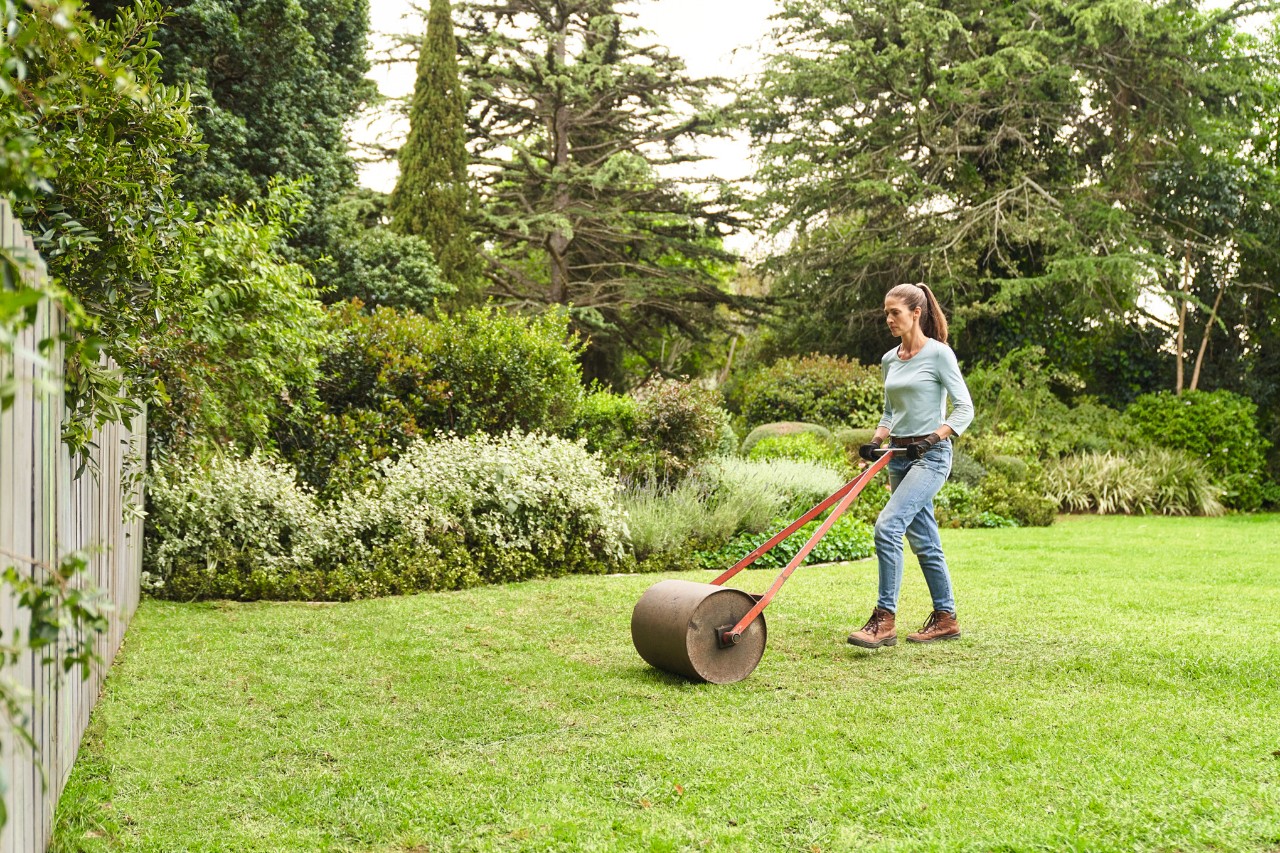 Vrouw gebruikt wals op kant-en-klaar gazon in een grote tuin