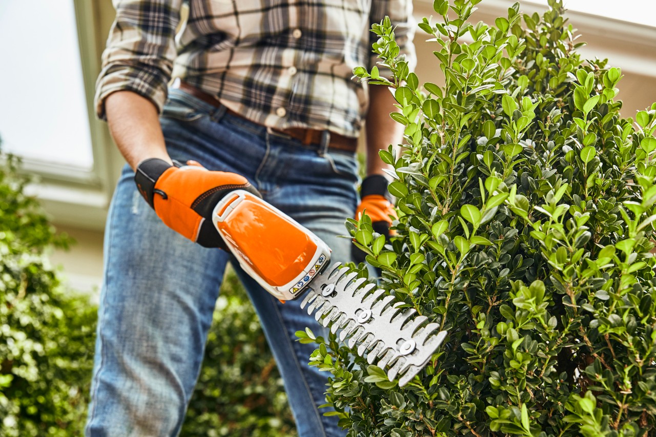 Close-up van hoe je met de STIHL HSA 26 accuheggenschaar een buxus snoeit