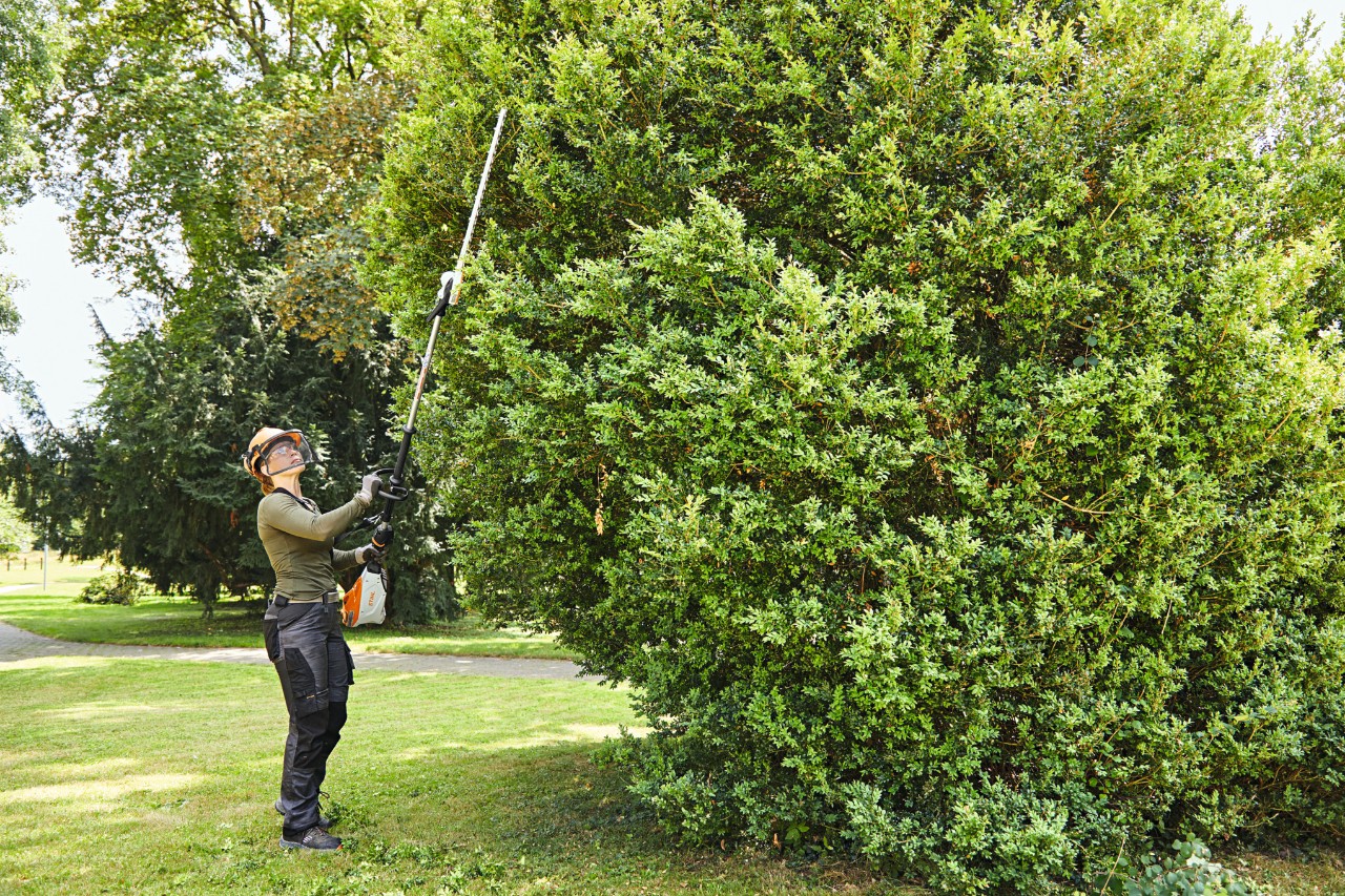 Een vrouw snoeit met een STIHL HLA 135 accuheggenschaar een wildgroeiende, verwaarloosde buxus in een park