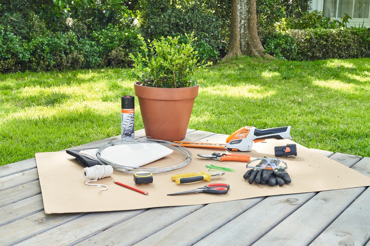 Ongesnoeide buxus met gereedschap, waaronder de STIHL HSA 26 accubuxusschaar en de STIHL PG 10 snoeischaar