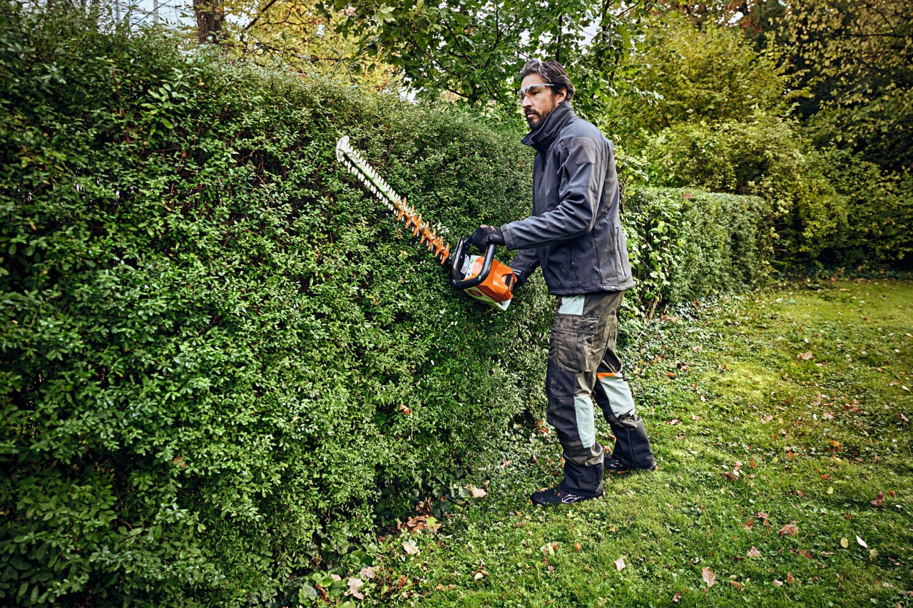 Een man in beschermende uitrusting snoeit een heg met een STIHL heggensnoeier