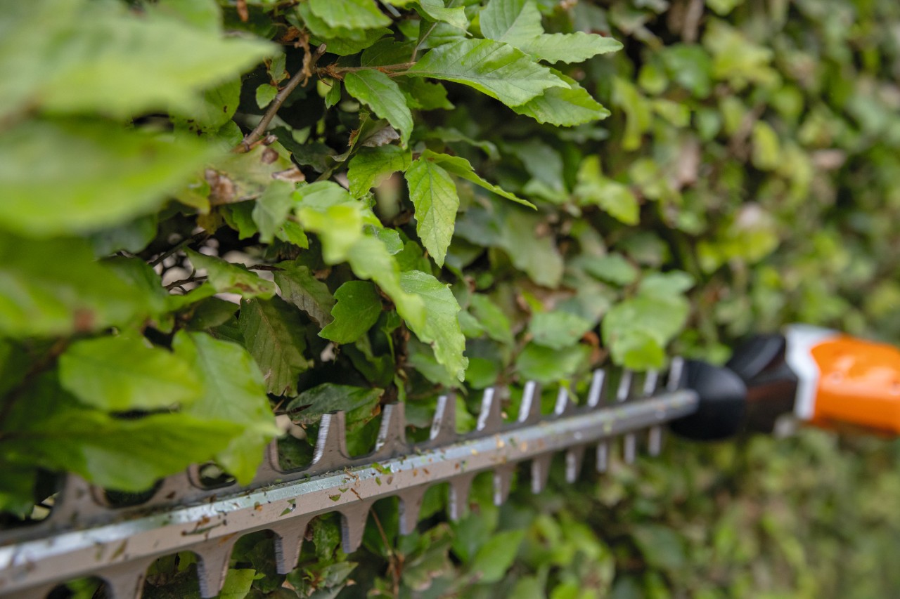 Close-up van een STIHL HLA 66 accuheggenschaar op steel