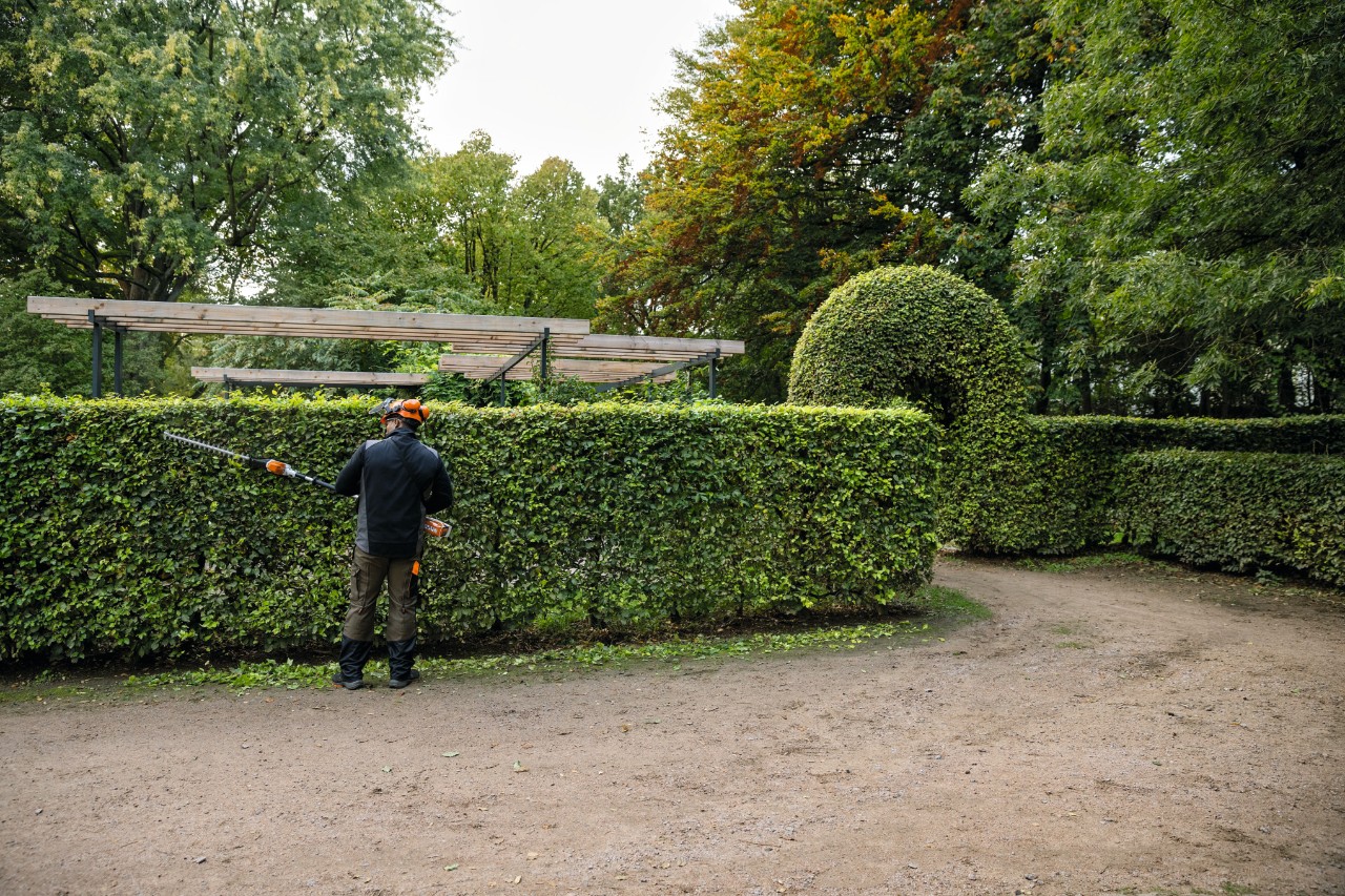 Een man snoeit een heg met een STIHL-heggenschaar op accu HLA 66