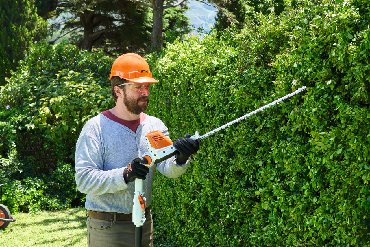 Een man in veiligheidsuitrusting snoeit een hoge heg met een STIHL HLA 56 accuheggensnoeier