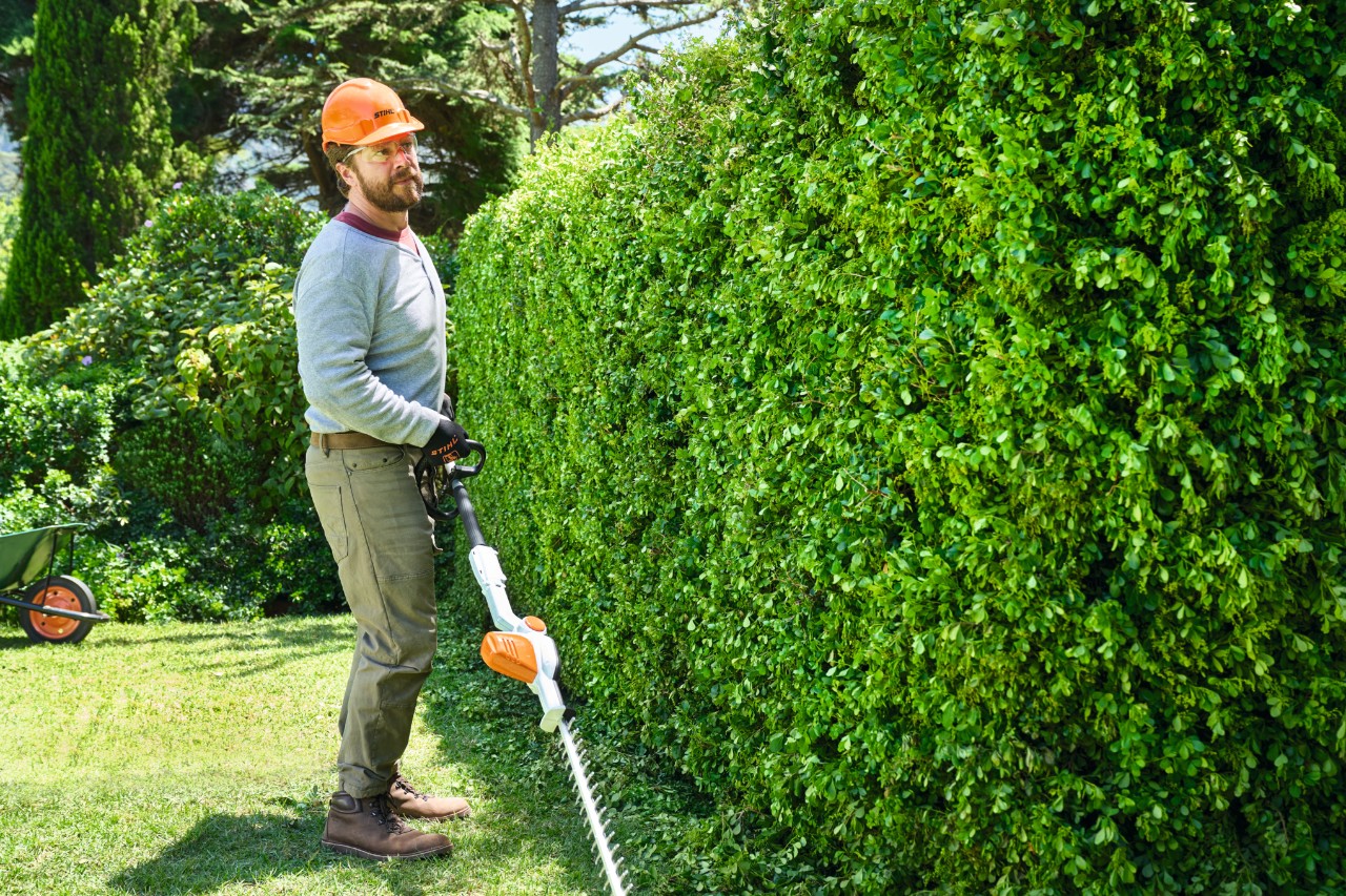 Een man loopt met de STIHL HLA 56 accuheggensnoeier langzaam langs een heg