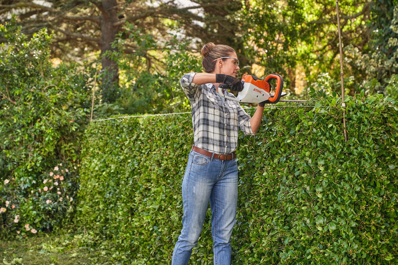 Een vrouw in een geruit overhemd snoeit met een STIHL accuheggenschaar laurierkers in vorm