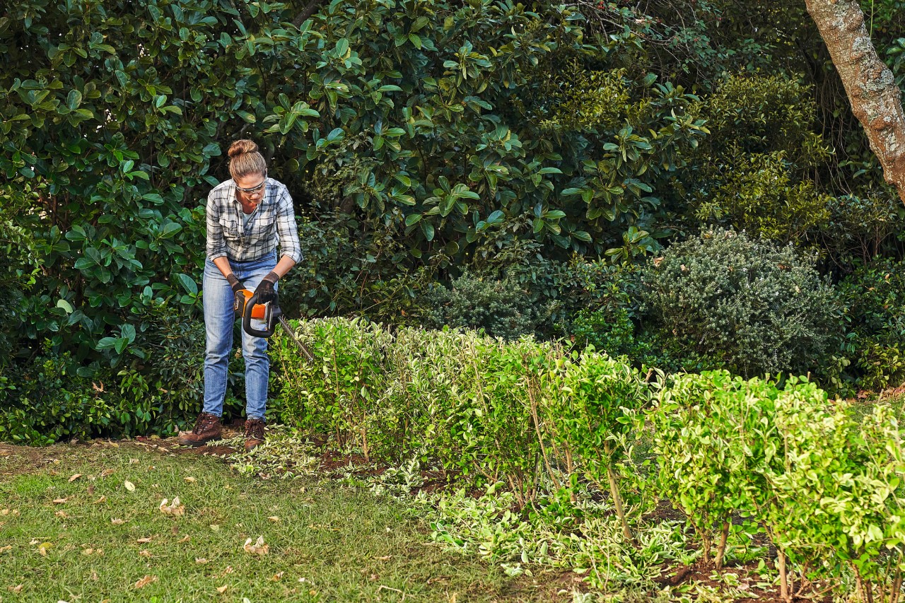 Een vrouw snoeit met een STIHL accuheggenschaar een ligusterheg