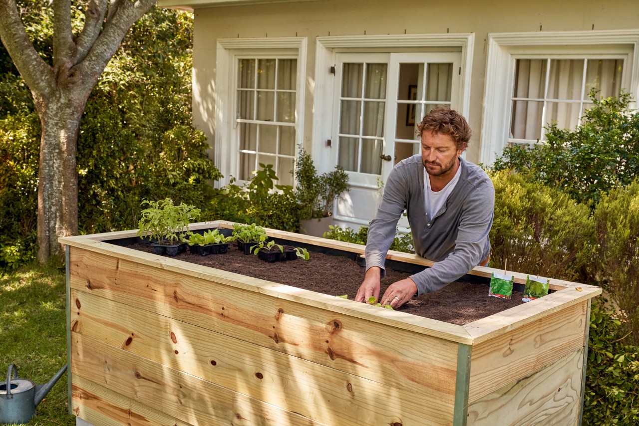 Man zet verschillende planten in een verhoogd kweekbed