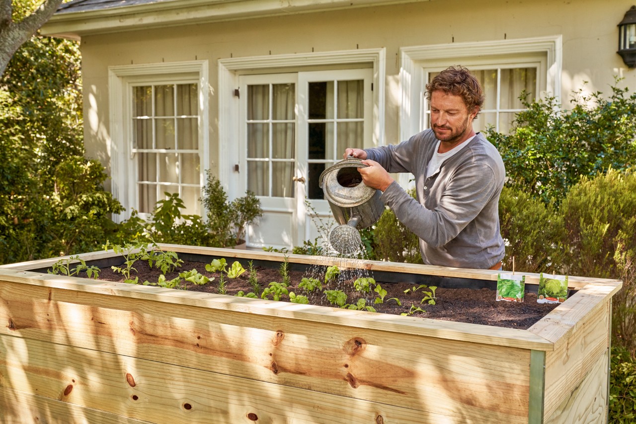 Een man geeft planten water in een zelfgemaakte hoge kweekbak