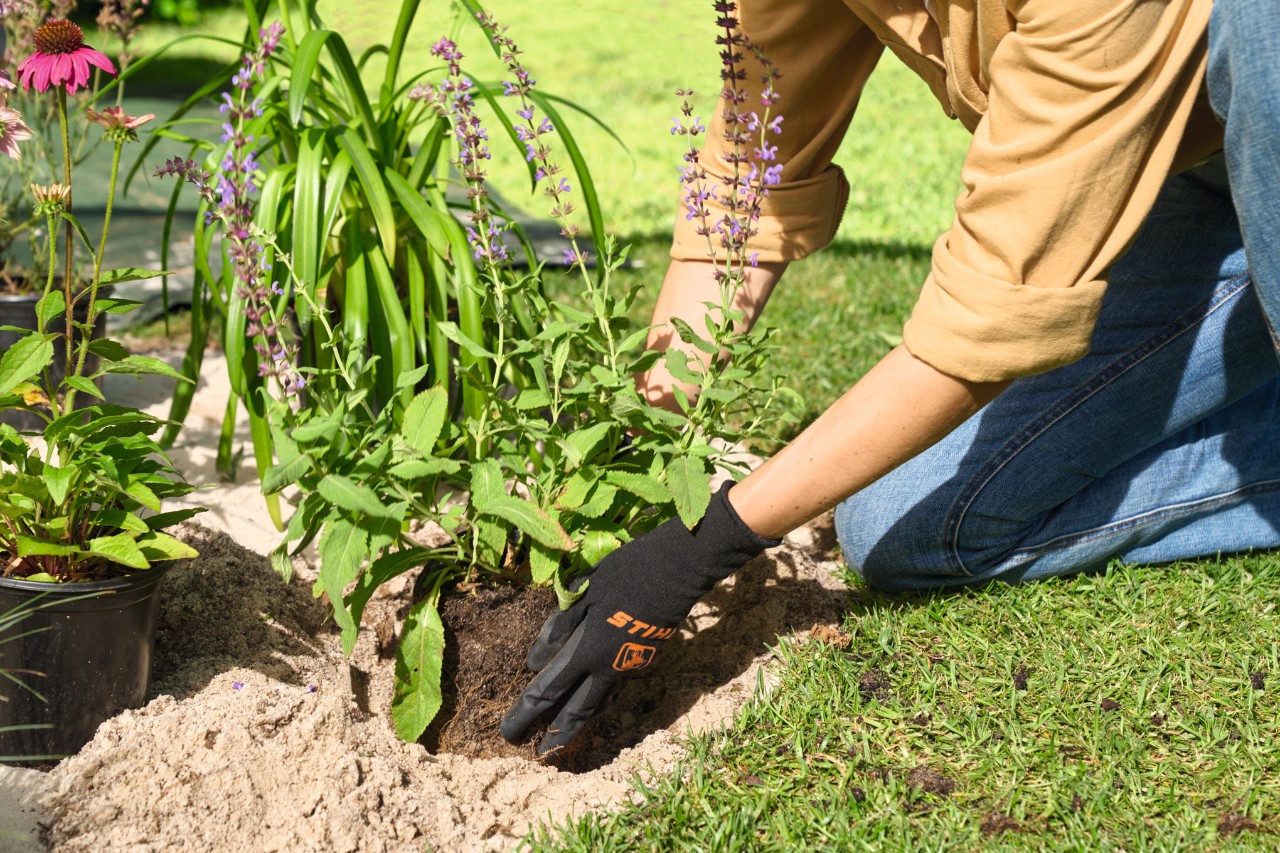 Een persoon zet planten in een zelfgemaakt eilandperk