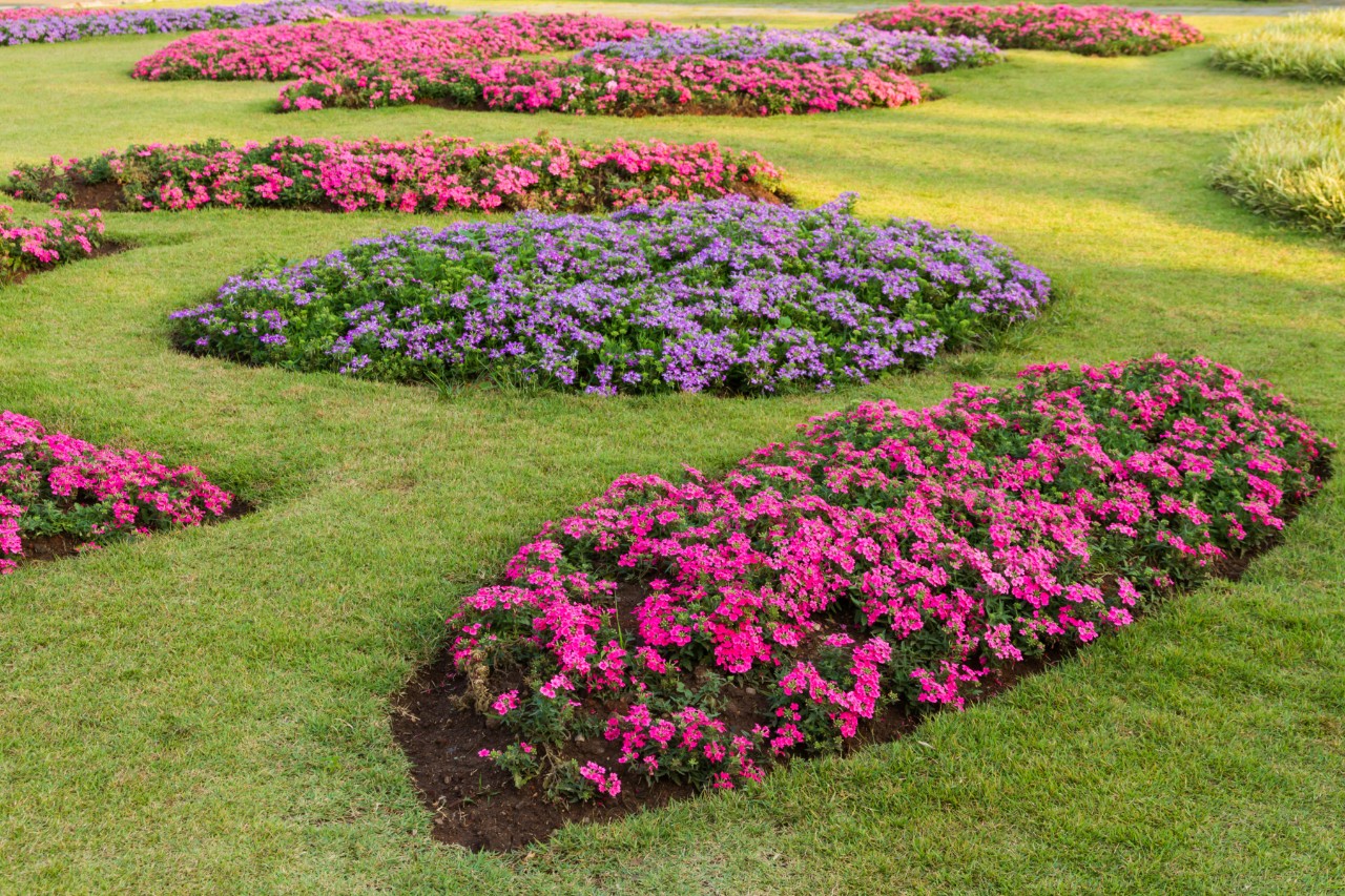 Eilandperken in vrije vorm met bloeiende planten