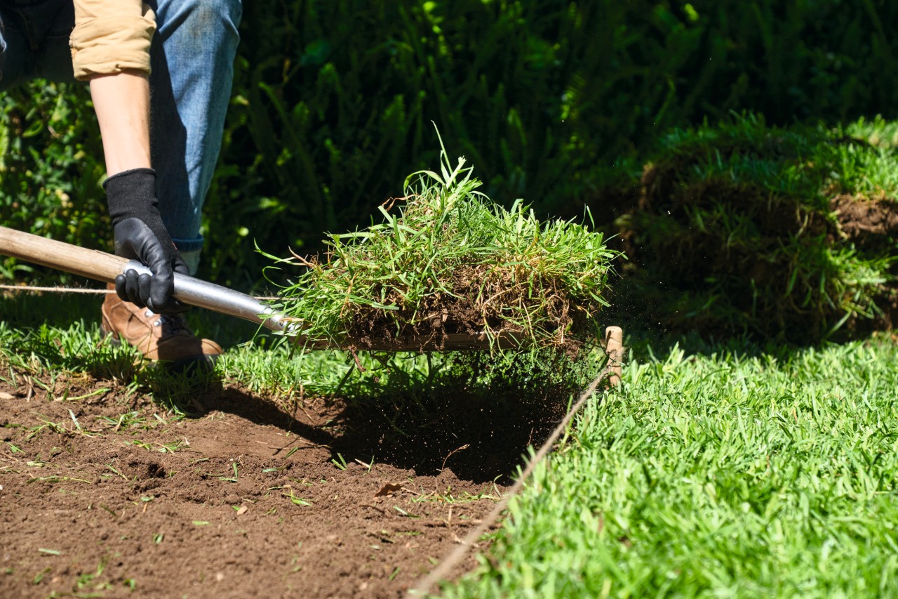 Iemand steekt graszoden uit met een spade