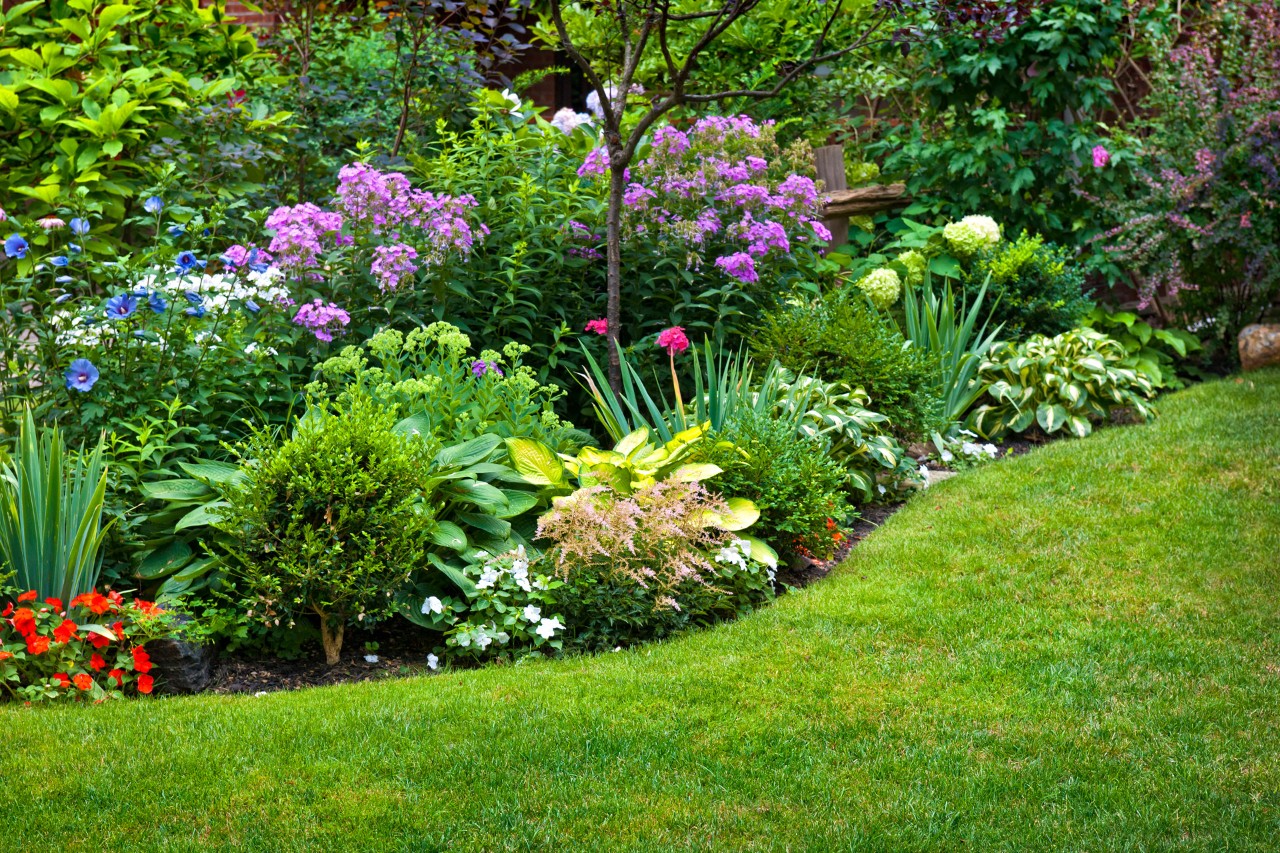 Kleurrijk vaste plantenbed in een tuin