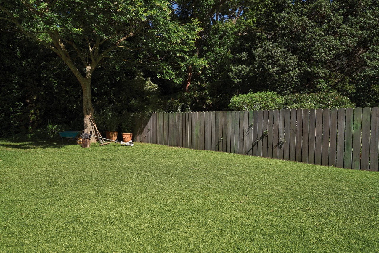 Een tuin met een groen gazon en houten omheining, met een kruiwagen en bloempotten in de schaduw van een boom