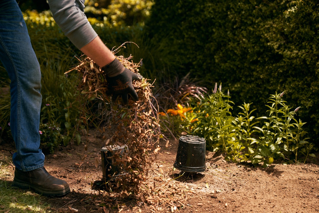Bodem bedekt met een heleboel bladeren en versnipperd plantaardig materiaal