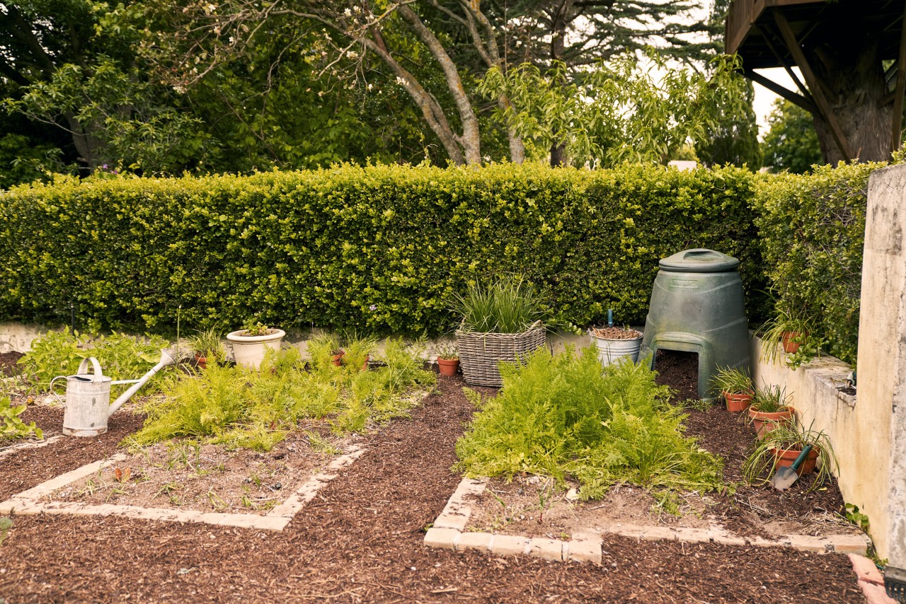 Keurige plantenbedden voor een heg, met een compostbak in de hoek