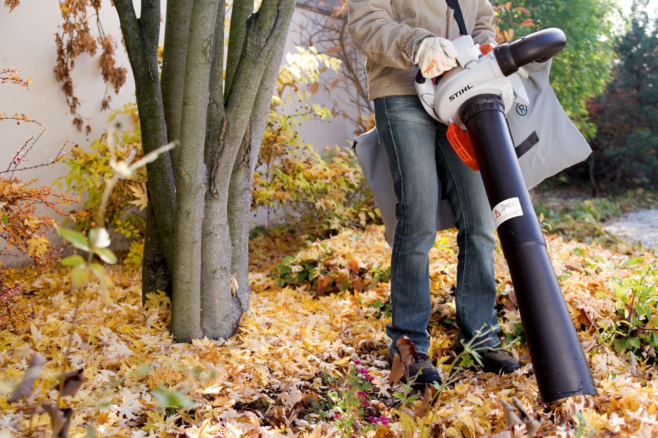 Bladeren naast een boom worden verwijderd door ze op te zuigen met een STIHL SH 56 zuighakselaar