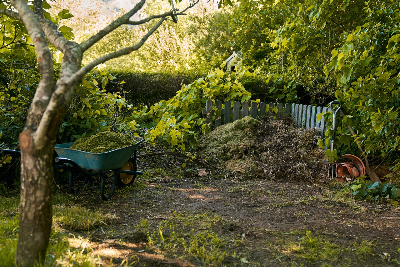 Open composthoop vóór een groene struik, ernaast een kruiwagen en bomen