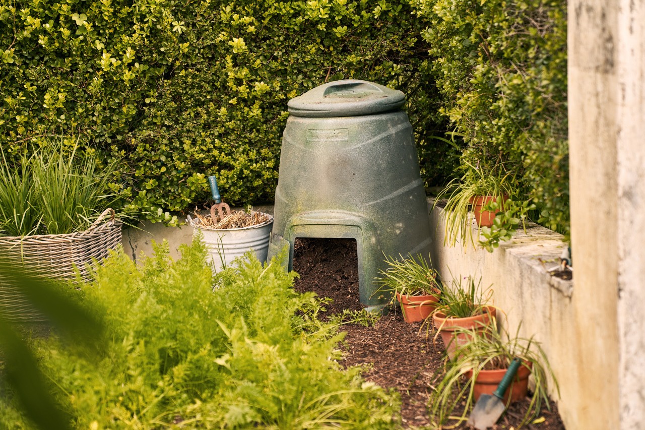 Thermocompostvat tussen potten en planten op de hoek van een groen grondstuk