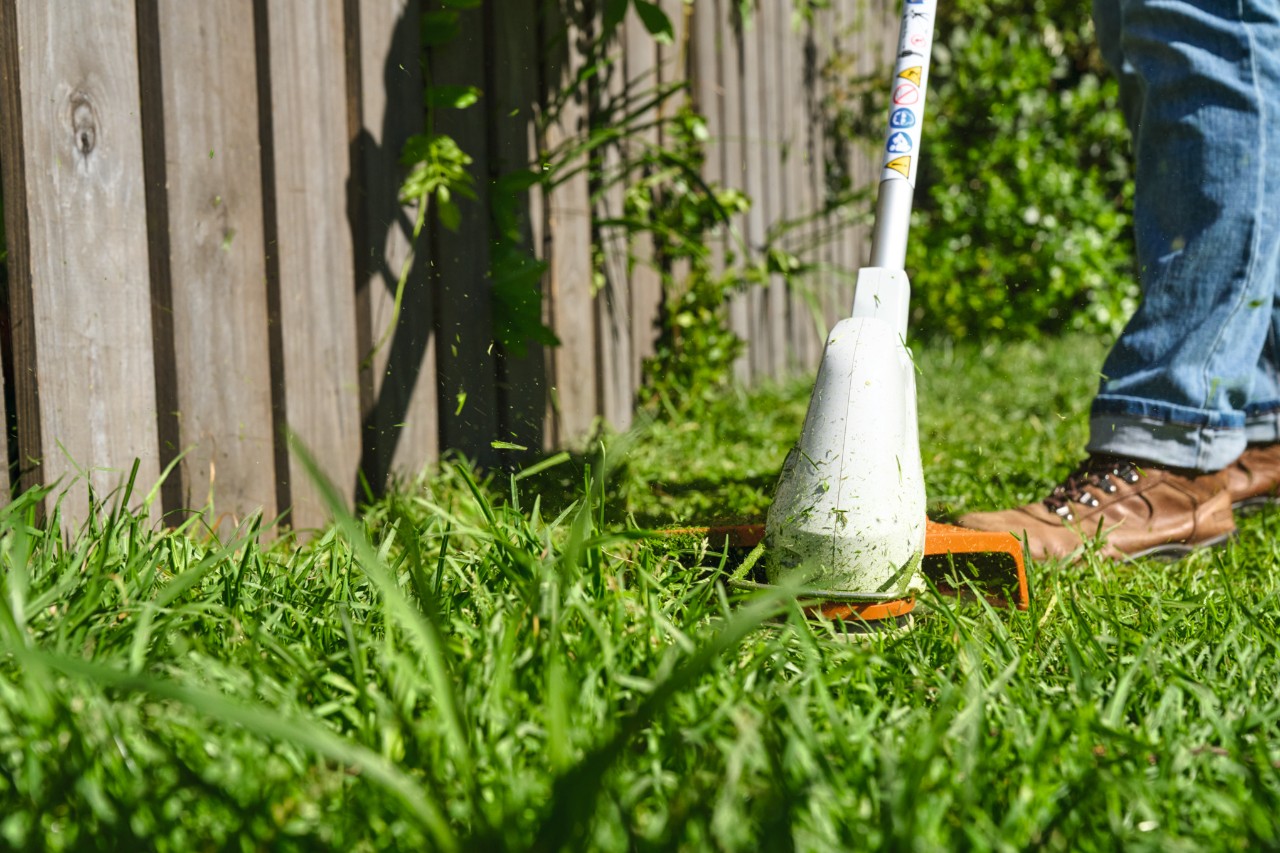 Met de STIHL FSA 30 accubosmaaier wordt het gazon gemaaid op de plek waar later de bloemenstrook moet komen