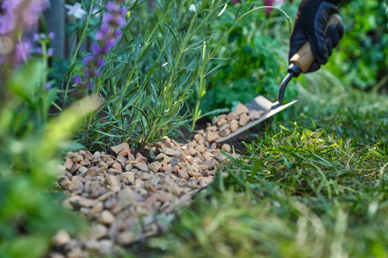 Met een handschep wordt grind onder de planten in de bloemenstrook gestrooid