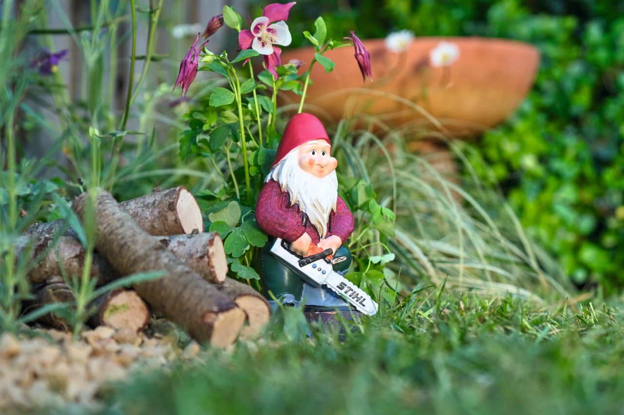 Een tuinkabouter staat met een miniatuur STIHL kettingzaag in de bloemenstrook