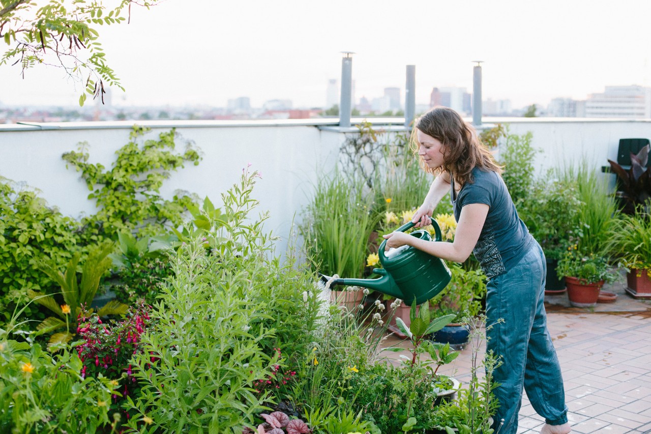 Vrouw geeft planten water op een dakterras