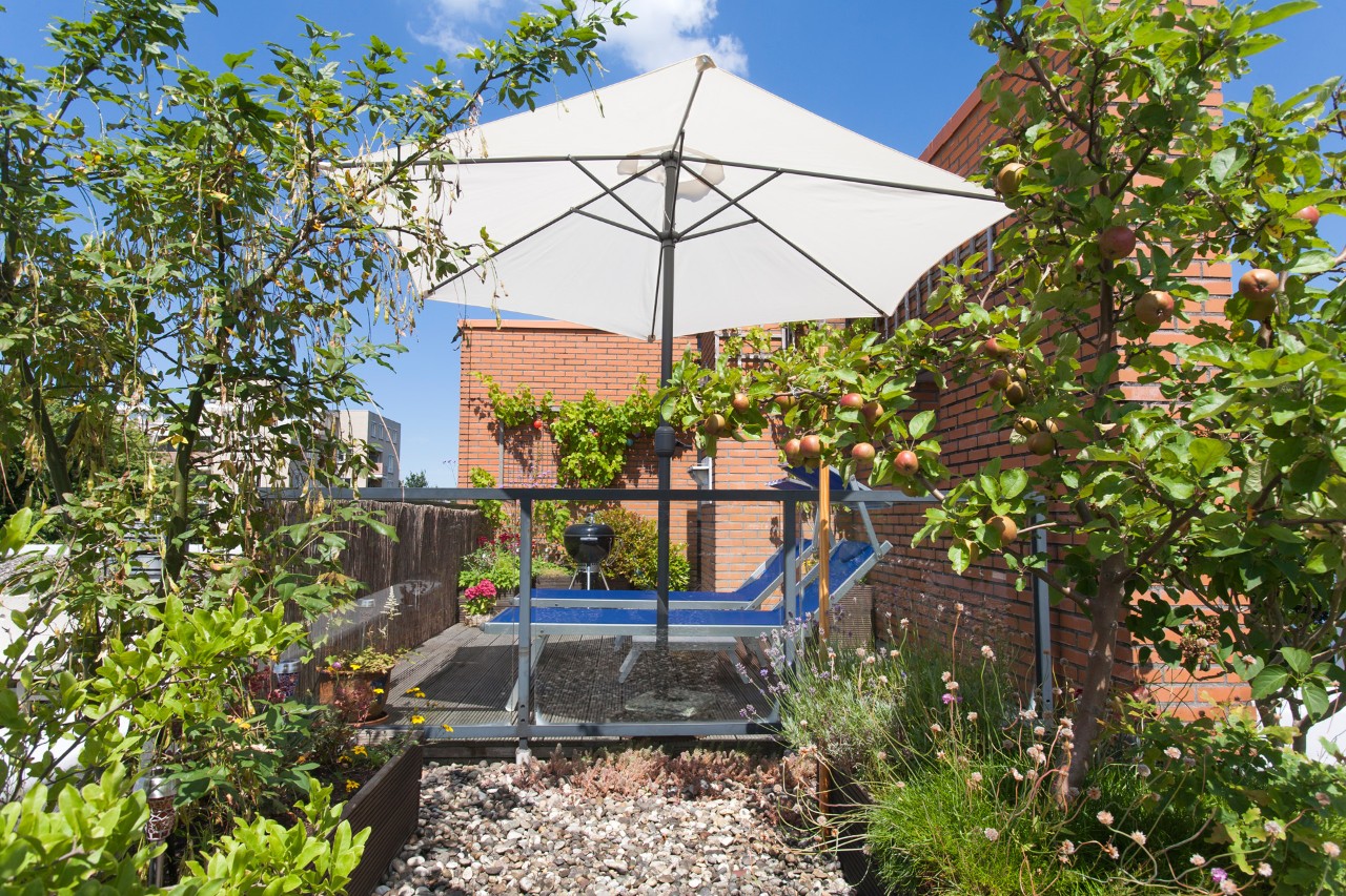 Sterk beplant dakterras met appelboom, parasol en ligbanken voor rode stenen muur