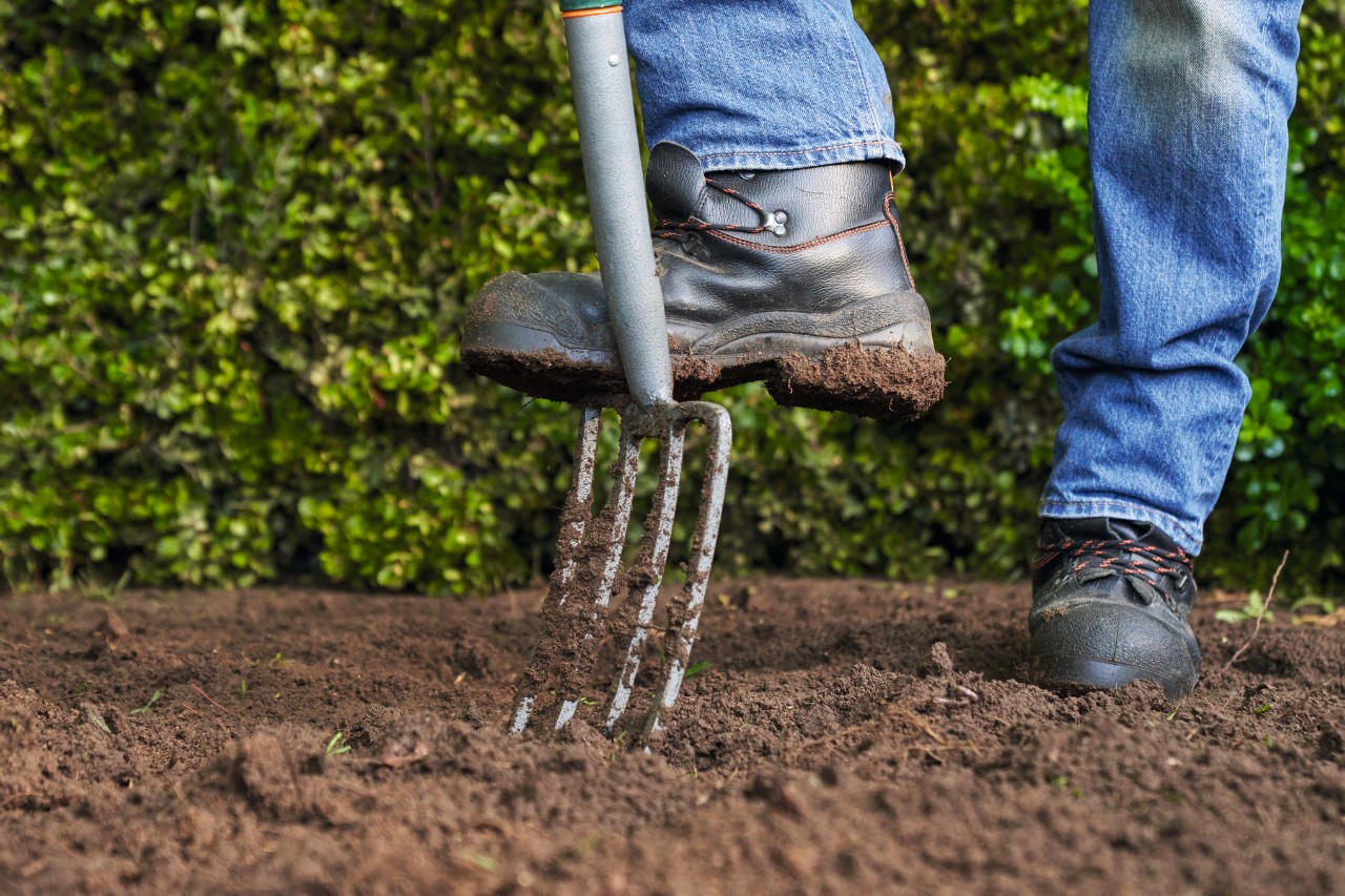 Close-up van iemand met vaste werkschoenen die een spitvork in de grond steekt