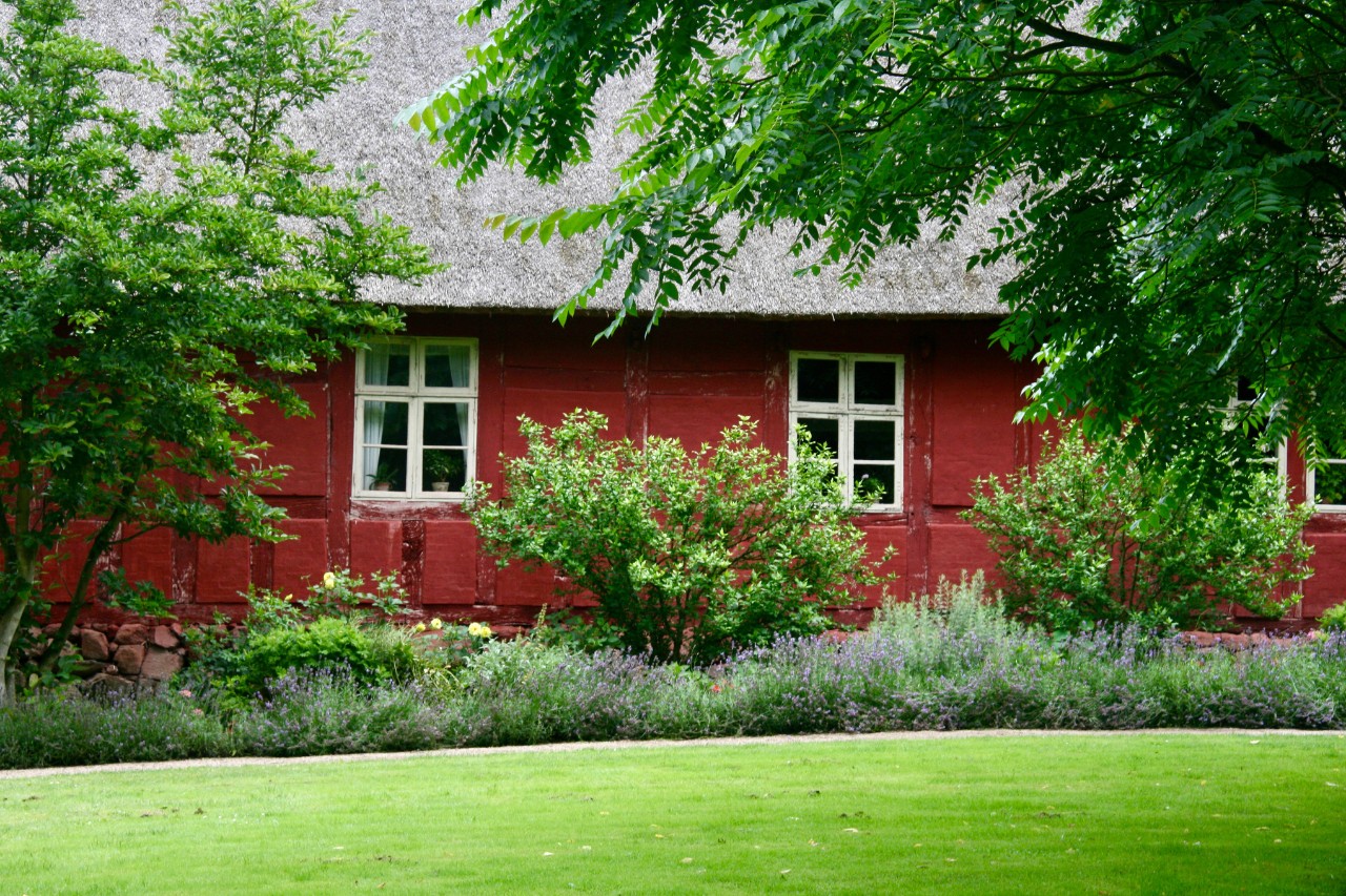 Huis met strodak en gevelbegroening langs de muur