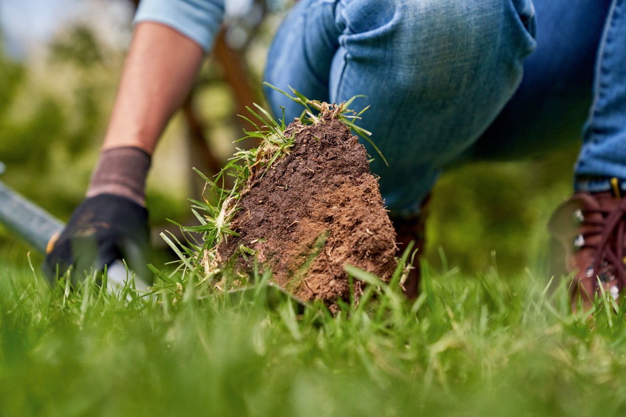 Er is een stuk gras met aarde uitgestoken om de bodemkwaliteit te bepalen